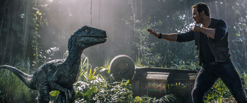 Der Dino-Bändiger Owen Grady und Velociraptor Blue als Weggefährten in "Jurassic World"